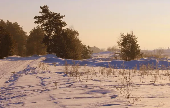 Picture winter, road, field, the sky, snow, trees, haze