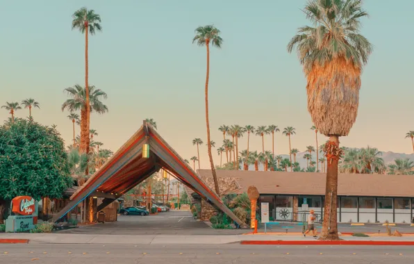 Road, palm trees, transport, structure, ONCE UPON A TIME IN CALIFORNIA