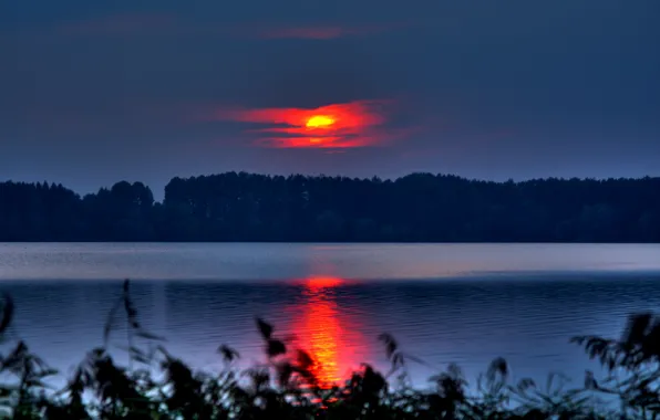 Picture the sky, the sun, clouds, trees, sunset, nature, foliage