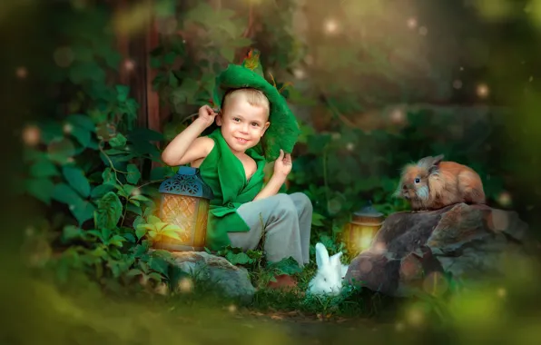 Picture animals, nature, stone, tale, boy, lights, costume, rabbits