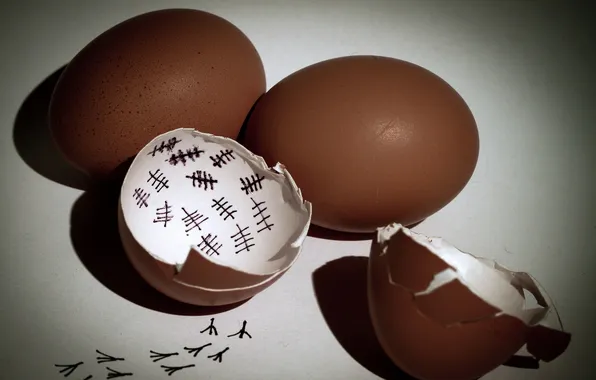 Traces, eggs, shell, mark