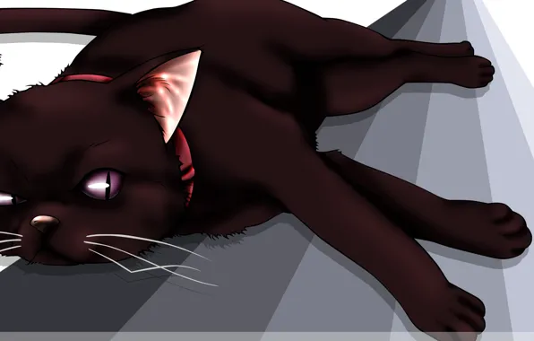 Predator, collar, beast, black cat, Darker than Black, Mao, following, Blacker than black
