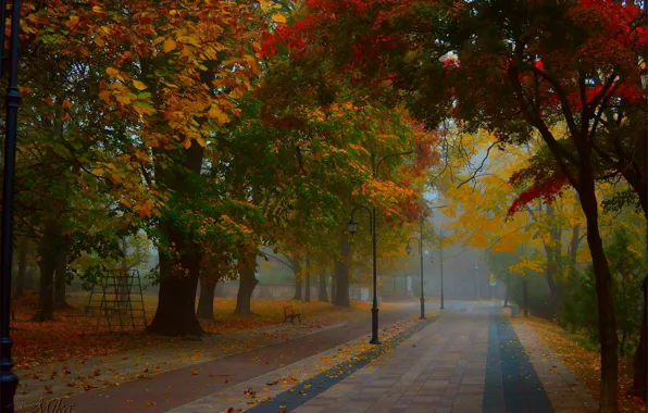 Fog, Autumn, Trees, Park, Fall, Park, Autumn