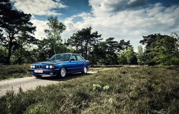 Picture BMW, Classic, Blue, BMW, E34, 535i