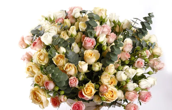 Picture roses, bouquet, buds, chic, bouquets