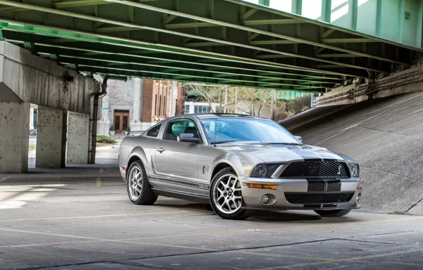 Picture Mustang, Ford, Shelby, GT500, bridge, Cobra