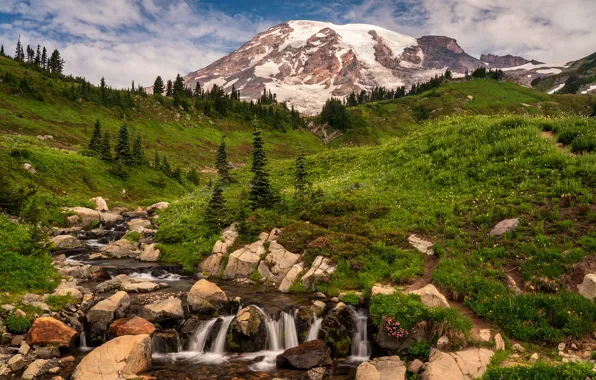 Greens, forest, summer, grass, snow, mountains, stream, stones