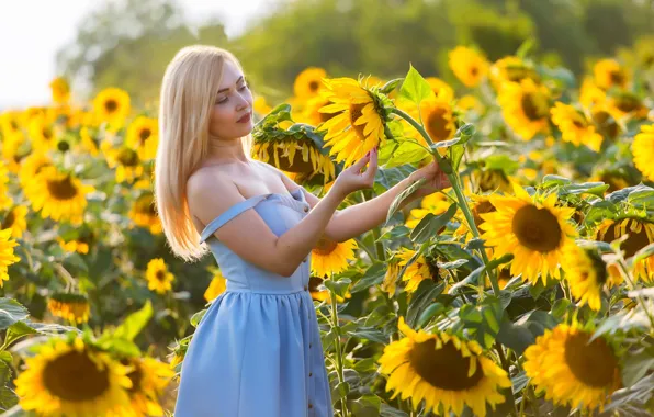 Picture field, summer, girl, sunflowers, mood, blonde, Elena, sundress