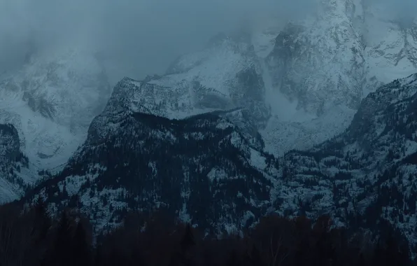 Picture winter, forest, snow, trees, mountains, nature, rocks, twilight