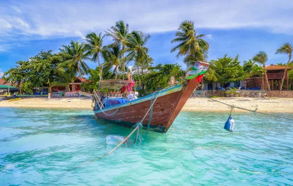 Sea, palm trees, shore, boat, Thailand