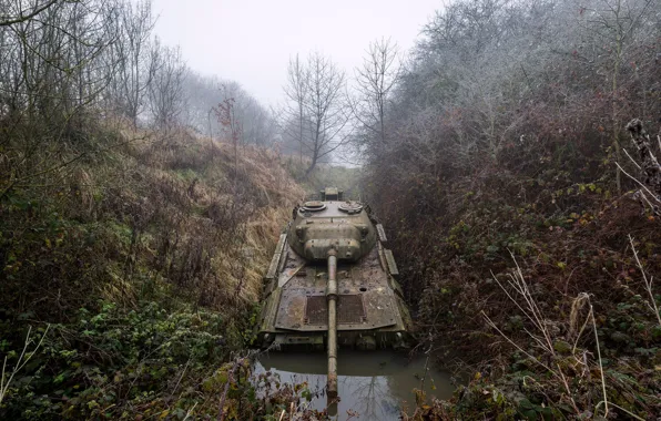 Army, puddle, tank