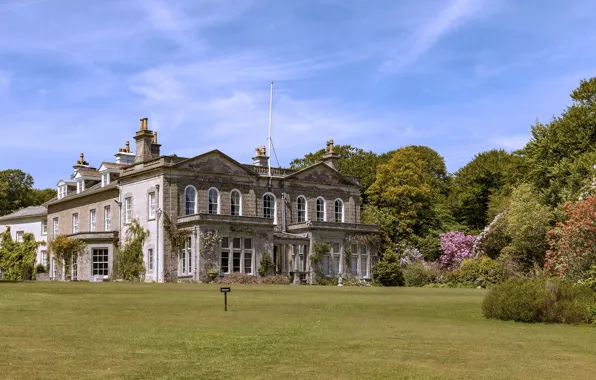Trees, house, garden, UK, mansion, Garden in Madron