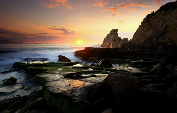 Stones, the ocean, rocks, moss, Sunset