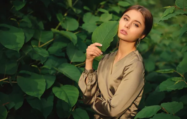 Picture look, leaves, girl, face, pose, sheet, mood, hand