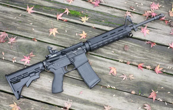 Leaves, moss, wood floor, AR-15 rifle assault