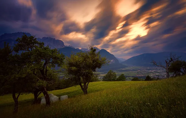 Picture the sky, clouds, trees, mountains, Austria, valley, Alps, meadow