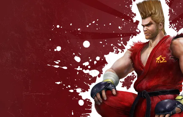 Hairstyle, Fighter, Paul, Tekken 6