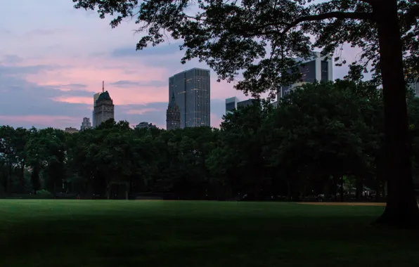 USA, grass, skyline, trees, nature, New York, Manhattan, park