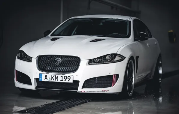 White, jaguar