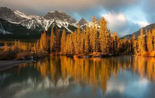 Forest, clouds, light, mountains, lake, reflection, rocks, shore