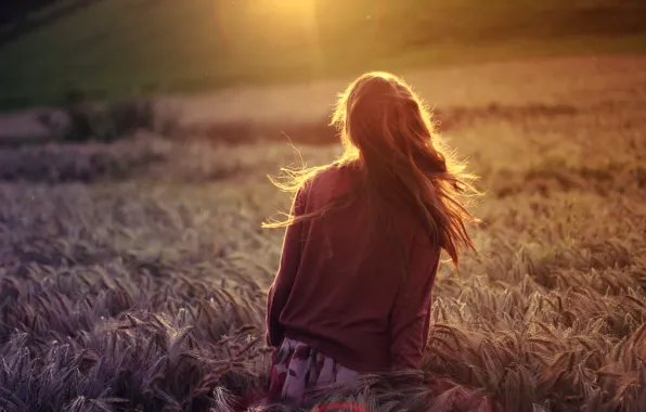 Wheat, field, girl, the sun, rays, nature, background, Wallpaper
