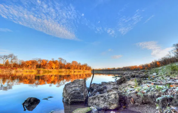 Picture forest, the sky, trees, river, stones