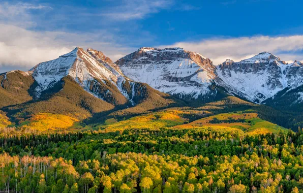 Autumn, forest, mountains, Colorado, Colorado, San Juan Mountains, San Juan Mountains