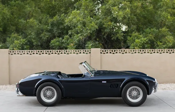 Black, Shelby, side view, retro cars, 1963, Shelby Cobra, the only instance, Cobra 289