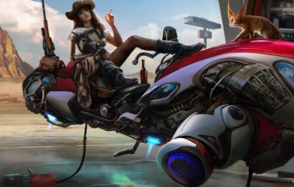 Picture cat, girl, fiction, animal, beer, cyborg, bike, hunter