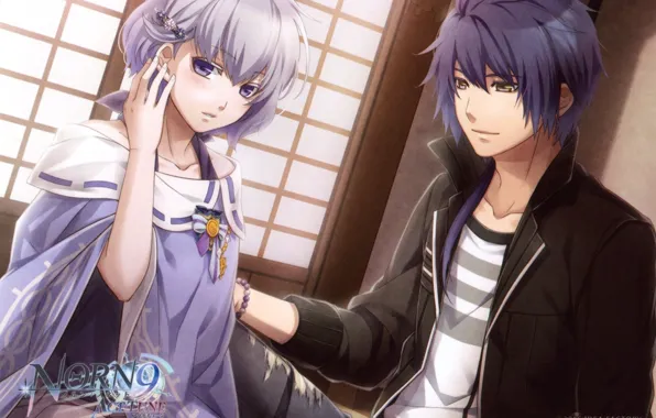 Room, two, Cape, barrette, visual novel, NORN9, heishi otomaru, nanami shiranui