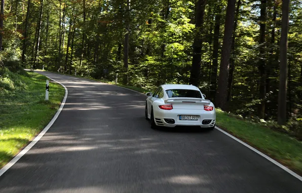Picture road, photo, Wallpaper, speed, 911, Porsche, cars, auto