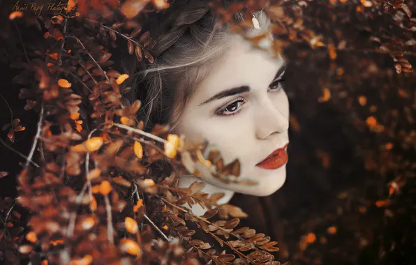 Picture leaves, girl, branches, brunette