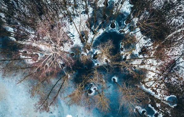 Picture Lithuania, Kirkilai lakes, Stock exchange