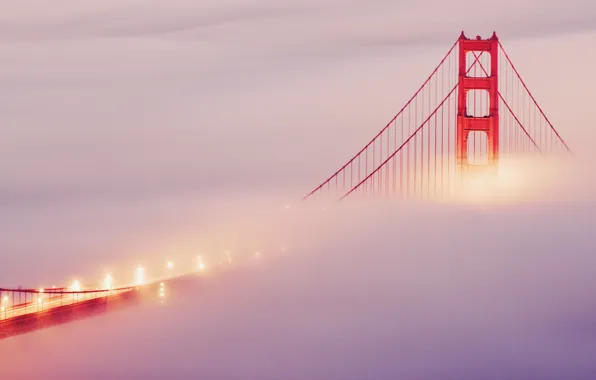 Bridge, lights, fog, San Francisco, golden gate bridge