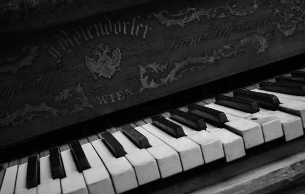 Picture music, keys, piano