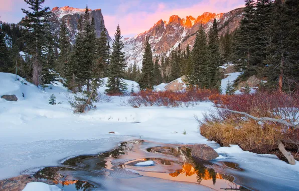 Winter, forest, mountains, nature, river