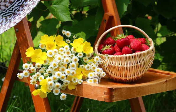 Picture flowers, berries, hat, garden, strawberry, yard, chair, basket