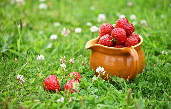 Picture grass, berries, strawberry, clover, pitcher