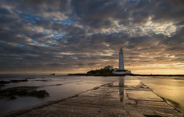 Sea, landscape, night, lighthouse