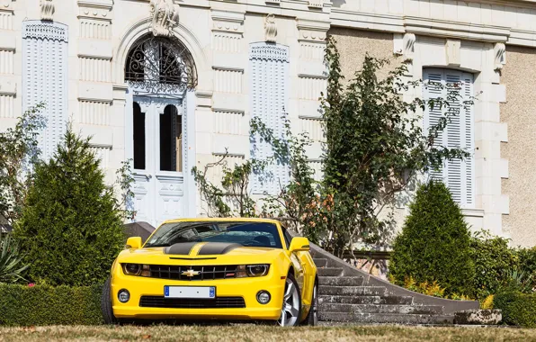 Picture Chevrolet, Camaro, Yellow