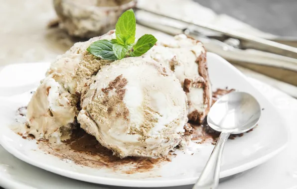 Food, chocolate, ice cream, mint, cocoa, vanilla