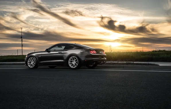 Mustang, Ford, Muscle, Car, Sunset, Wheels, Before, Rear