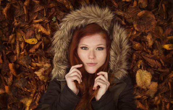 Picture girl, green eyes, photo, leaves, model, lips, redhead, Mia Sollis
