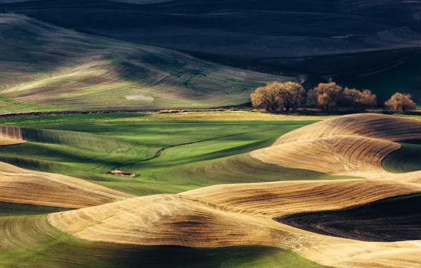 Hills, USA, Washington, Whitman