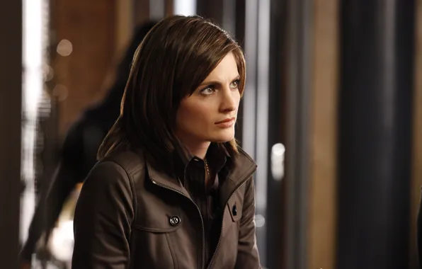 Look, pose, the series, hair, Castle, Stana Katic, Castle, Stana Katic