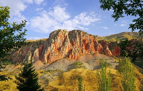 Picture trees, branches, stones, rocks, Sunny, Armenia, Noravank