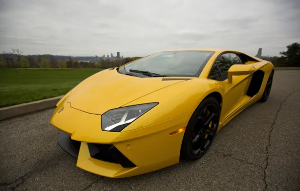 Picture road, asphalt, cracked, yellow, lawn, lamborghini, side view, yellow