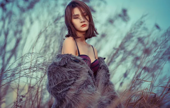 Picture girl, face, background, hair, fur