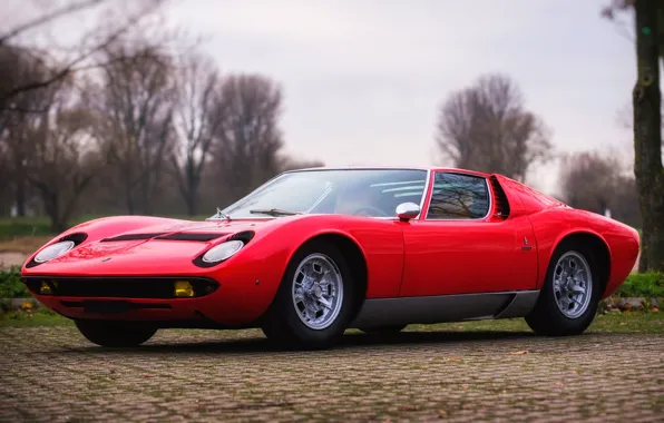 Color, Auto, Yellow, Lamborghini, Machine, Classic, Lights, Car