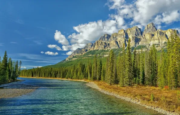 Forest, clouds, mountains, river, stones, spruce, Canada, coniferous